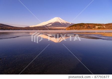 (Yamanashi Prefecture) Upside-down red Fuji reflected in Lake Yamanaka in the early morning, superb view (Yamanashi Prefecture) Upside-down red Fuji reflected in Lake Yamanaka in the early morning, superb view 87791677