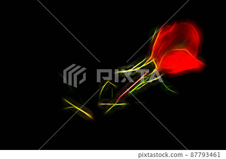 Pink and Yellow Rose 87793461