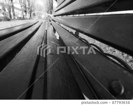 烏克蘭敖德薩的公園長椅 烏克蘭敖德薩的公園長椅 87793638
