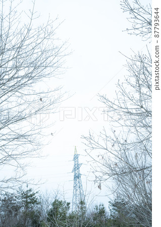 The landscape of steel towers and trees in winter stirs up the cold even more The landscape of steel towers and trees in winter stirs up the cold even more 87793644