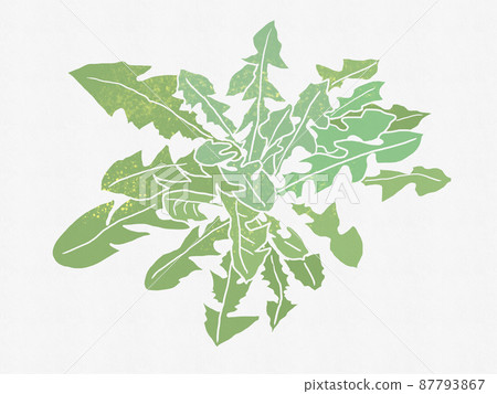 野花背景插圖與蒲公英葉紋理 87793867