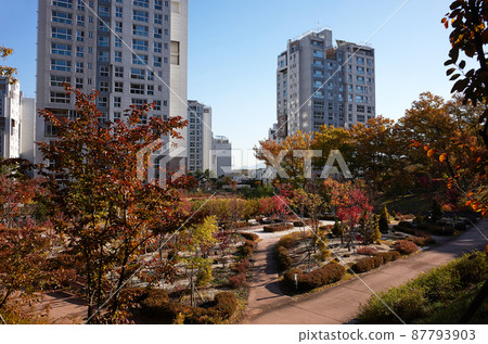 Apartment, Park, Seoul 87793903