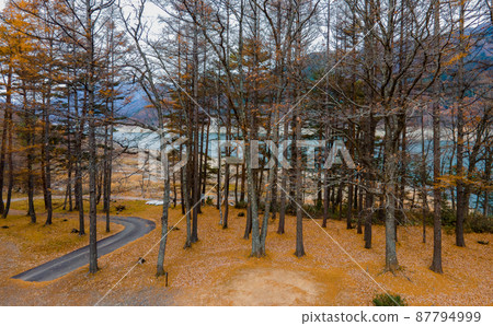 Autumn Miboro Lake, taken in November 2021 aerial photography 87794999