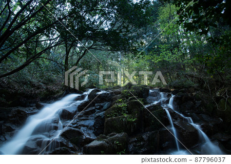 A bifurcated waterfall in a deep forest A bifurcated waterfall in a deep forest 87796037