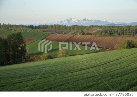 早春山 87796055