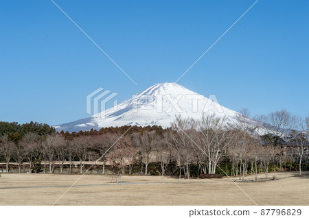 富士加冕雪 富士加冕雪 87796829