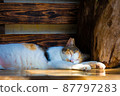 [168._.luo] Ruifang Shuinan Cave Sleeping Cat 87797283