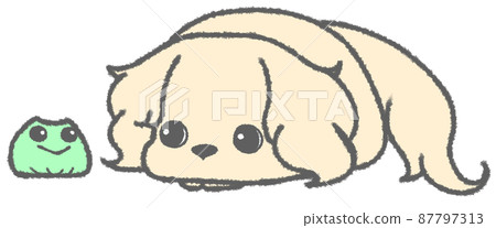 Dachshund (gray) staring down at the frog Dachshund (gray) staring down at the frog 87797313