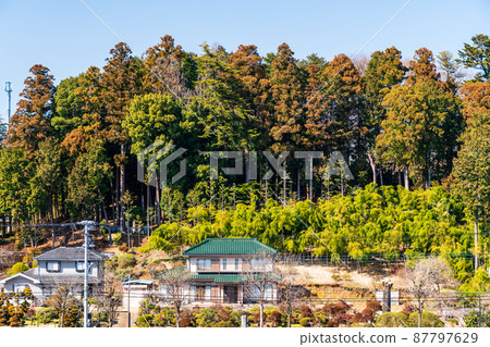 Living in a sunny satoyama 87797629