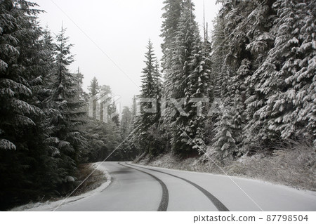 冬天下雪的路 87798504