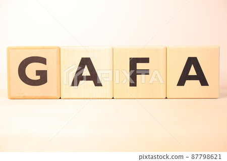 GAFA 木製字母塊（標誌圖標文本） 87798621
