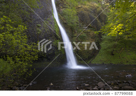 Cool waterfall and moss 87799088