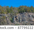 Beautiful Rock Wall in Beavers Bend State Park along the edge of the forest, Broken Bow, Oklahoma 87799222