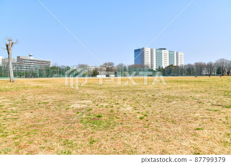 武藏野中央公園/Harappa廣場（東京都武藏野市）[2022.3] 87799379