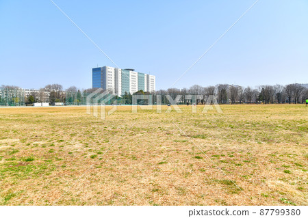 武藏野中央公園/Harappa廣場（東京都武藏野市）[2022.3] 87799380