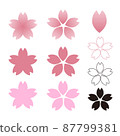 Sakura with five pink and black petals 87799381