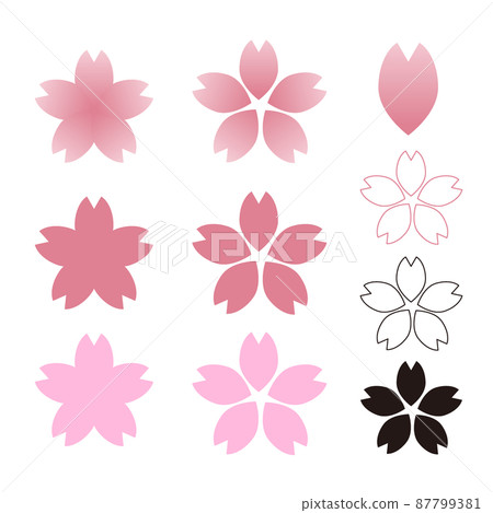 Sakura with five pink and black petals Sakura with five pink and black petals 87799381