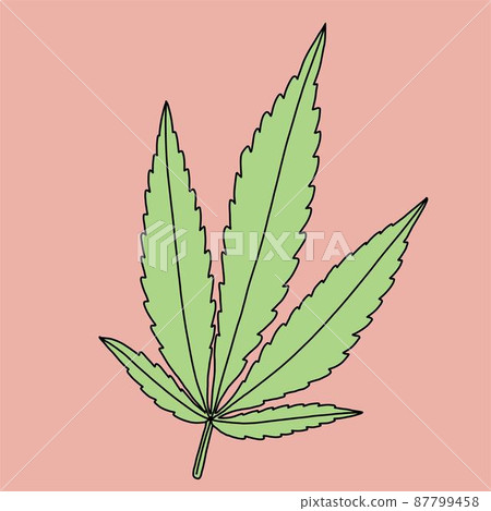 simplicity cannabis leaf freehand drawing flat design. 87799458