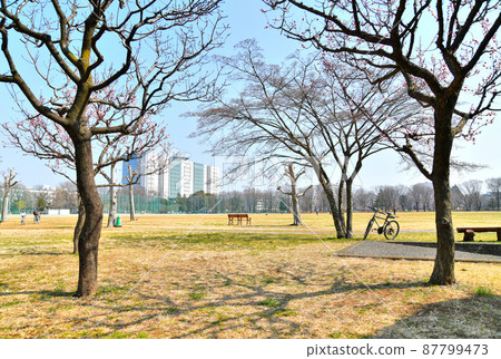 Musashino Central Park / Harappa Square (Musashino City, Tokyo) [2022.3] 87799473