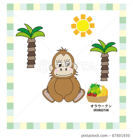 Cute animal series line drawing Cute orangutan... - Stock Illustration  [87801930] - PIXTA