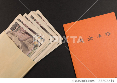 養老金筆記本和錢 養老金筆記本和錢 87802215