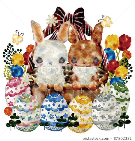 Easter egg rabbit Easter egg rabbit 87802381