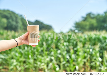 female hand holding a drink cup 87802434