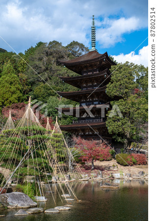 Ruriko-ji Five-storied Pagoda, a national treasure in Yamaguchi City, Yamaguchi Prefecture 87802514