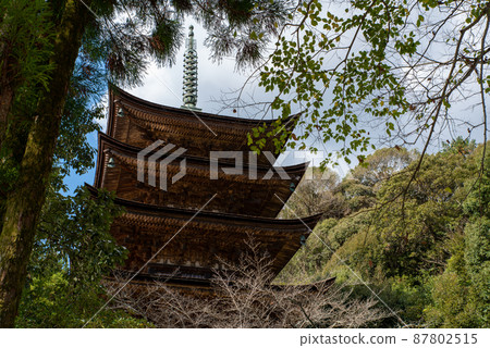 Ruriko-ji Five-storied Pagoda, a national treasure in Yamaguchi City, Yamaguchi Prefecture Ruriko-ji Five-storied Pagoda, a national treasure in Yamaguchi City, Yamaguchi Prefecture 87802515