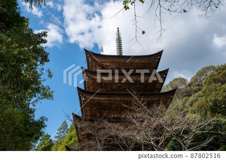 Ruriko-ji Five-storied Pagoda, a national treasure in Yamaguchi City, Yamaguchi Prefecture 87802516