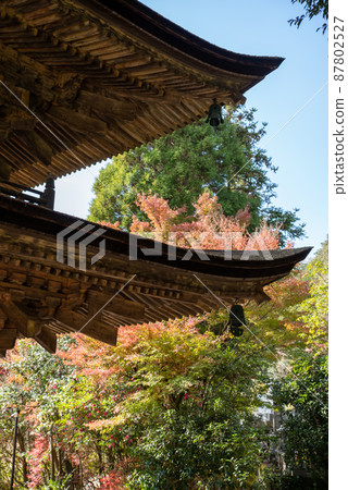 Ruriko-ji Five-storied Pagoda, a national treasure in Yamaguchi City, Yamaguchi Prefecture 87802527