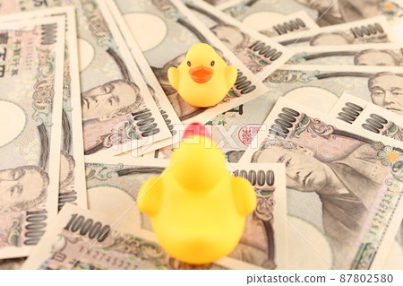 Banknotes and ducks Banknotes and ducks 87802580