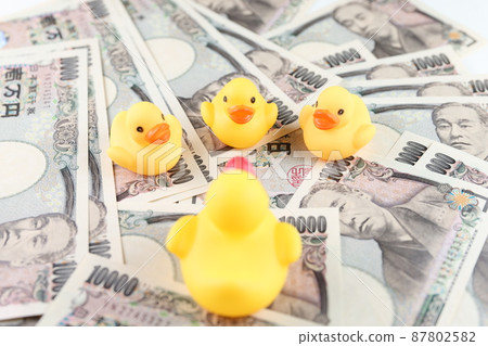Banknotes and ducks Banknotes and ducks 87802582