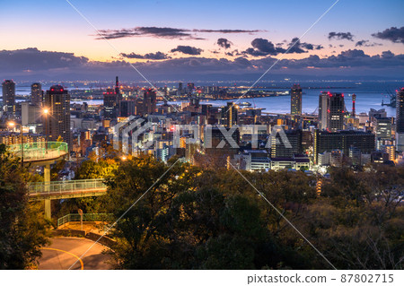 《Hyogo Prefecture》 Kobe cityscape, the dawn of Suwayama Park 87802715