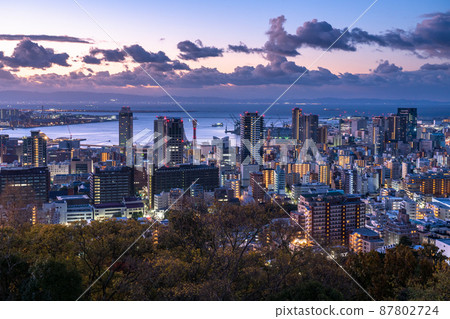 《兵庫縣》神戶街景，諏訪山公園的曙光 87802724