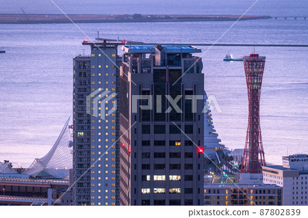 《Hyogo Prefecture》 Kobe cityscape, the dawn of Suwayama Park 87802839