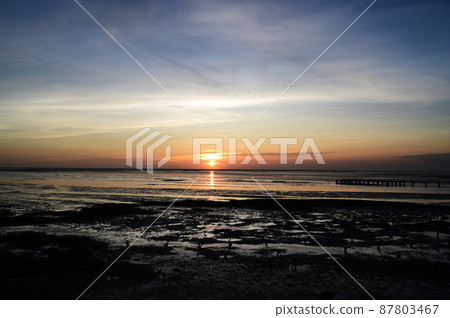 海 87803467