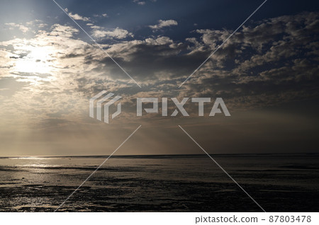 Sea Sea 87803478