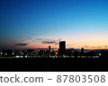 Silhouette 87803508
