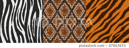 Animal skin or fur textures snake, zebra and tiger 87803655