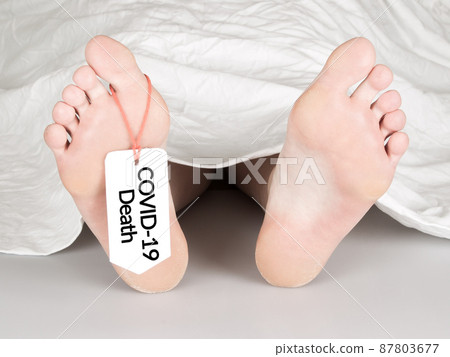 Body with toe tag on white 87803677