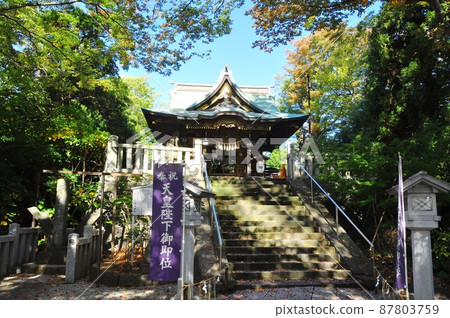 神奈川縣藤澤市白畑神社本堂、源義經紀念碑和紅葉 87803759