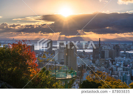 《Hyogo Prefecture》 Kobe cityscape, the dawn of Suwayama Park 87803835