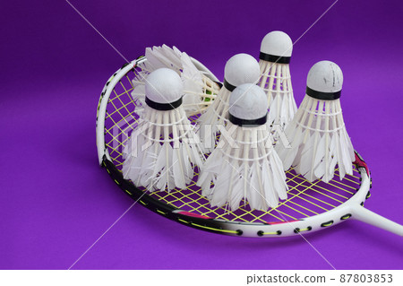 Unused badminton shuttlecocks and broken string racket on the floor of indoor badminton court, concept for badminton lovers around the world. 87803853