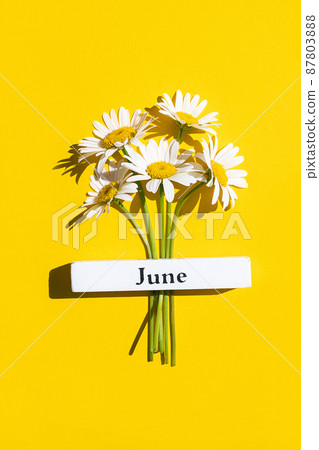 Calendar summer month June and chamomile flowers on yellow background. Top view Flat lay. Minimal concept Hello June. Top view, Flat lay, greeting card 87803888