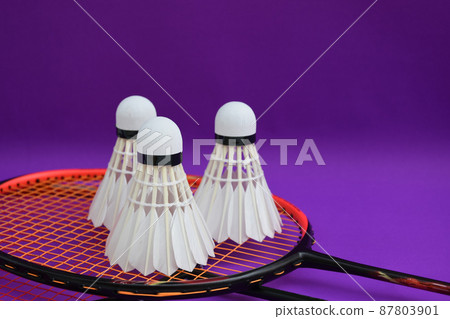 Cream white badminton shuttlecocks and rackets on purple floor in indoor badminton court, soft and selective focus, copy space, concept for badminton lovers around the world. Cream white badminton shuttlecocks and rackets on purple floor in indoor badminton court, soft and selective focus, copy space, concept for badminton lovers around the world. 87803901