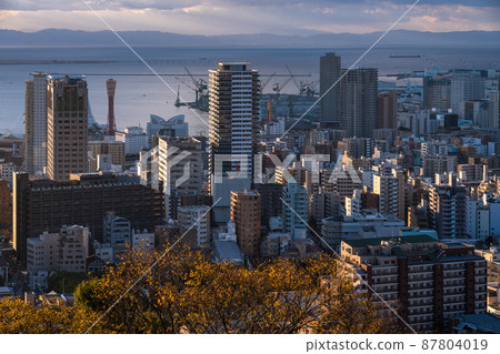 《兵庫縣》神戶街景，諏訪山公園的曙光 87804019