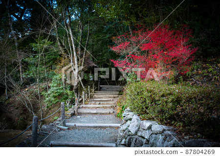 風景秀麗的雪船花園(山口縣山口市) 風景秀麗的雪船花園(山口縣山口市) 87804269
