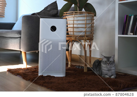 Cute cat and Air purifier with digital monitor screen on floor in living room. Air Pollution Concept. 87804628