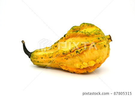 Decorative squash isolated on white 87805315